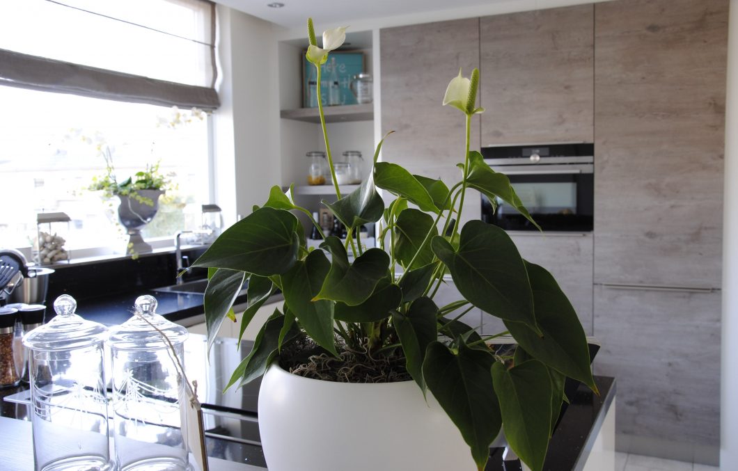 Moderne keuken met downdraft in Hardinxveld-Giessendam
